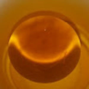 Meet your Posher, Vidal